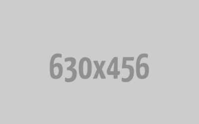 Vestibulum lacus lacus